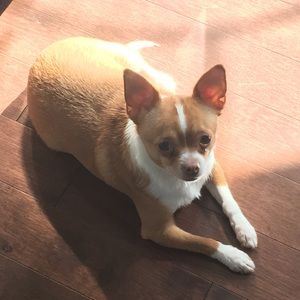 Meet your Posher, Jane